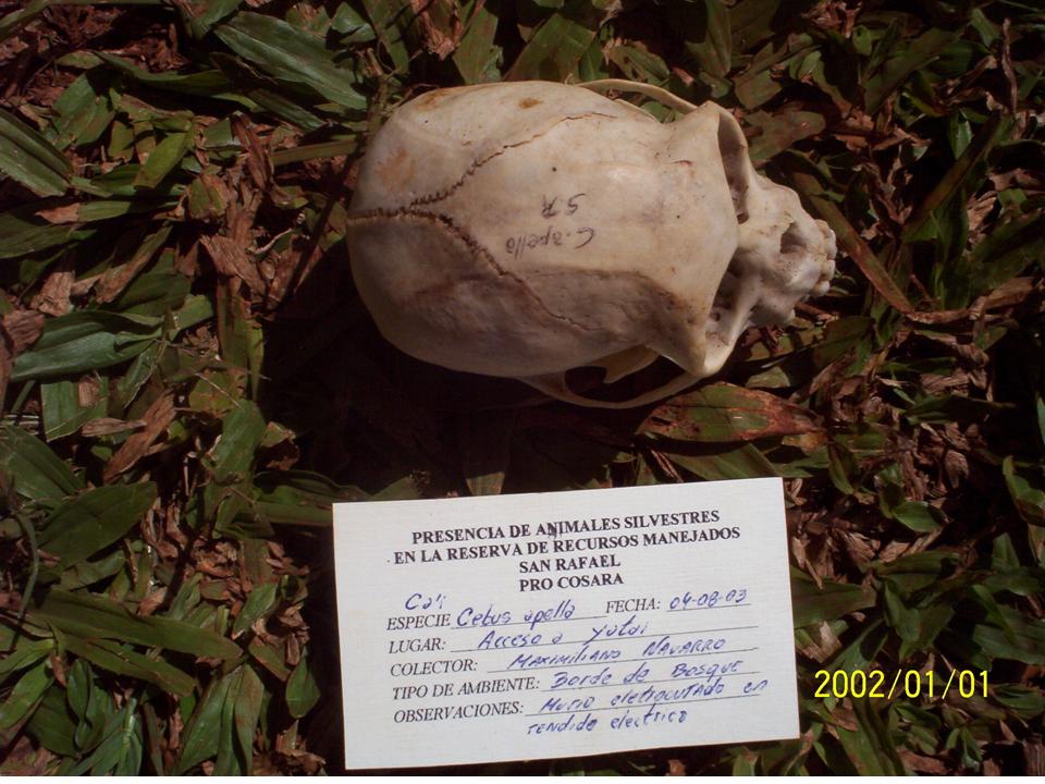 FIGURE 6 FIGURE 6